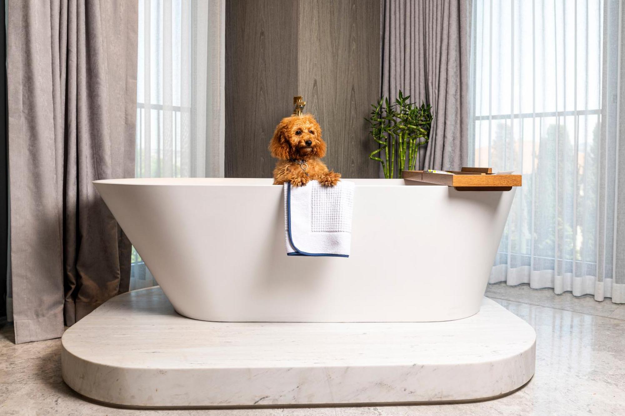 The Maestro Hotel Истанбул Екстериор снимка